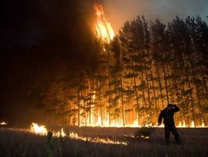 Несложные правила поведения при пожаре в лесу помогут сохранить жизнь Несложные правила поведения при пожаре в лесу помогут сохранить жизнь