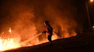 Пожары в Португалии: три дня национального траура по жертвам лесных пожаров Пожары в Португалии: три дня национального траура по жертвам лесных пожаров