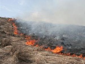 Степные пожары в Хакасии Степные пожары в Хакасии