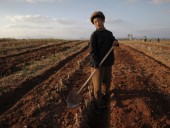Северная Корея страдает от сильнейшей засухи за несколько десятилетий Северная Корея страдает от сильнейшей засухи за несколько десятилетий