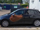 В Нидерландах пчелы заблокировали автомобиль В Нидерландах пчелы заблокировали автомобиль