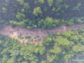 В Китае третий день не могут потушить масштабный лесной пожар В Китае третий день не могут потушить масштабный лесной пожар