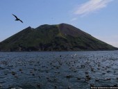 В России впервые за сто лет проснулся вулкан Райкоке В России впервые за сто лет проснулся вулкан Райкоке