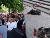 Администрацию президента Молдовы забросали индюками Администрацию президента Молдовы забросали индюками