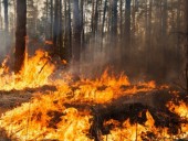 В двух регионах Сибири из-за лесных пожаров ввели чрезвычайное положение В двух регионах Сибири из-за лесных пожаров ввели чрезвычайное положение