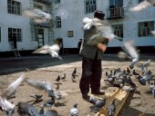 В российском городе ввели штрафы за кормление голубей В российском городе ввели штрафы за кормление голубей