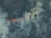 Опубликовано фото масштабов лесных пожаров в Амазонии Опубликовано фото масштабов лесных пожаров в Амазонии