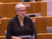 Сейчас от “формулы Штайнмайера” выигрывает только Россия — евродепутат Сейчас от “формулы Штайнмайера” выигрывает только Россия — евродепутат