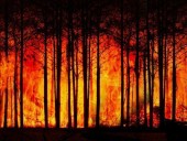 Тысячи ученых со всего мира заявили о чрезвычайной климатической ситуацию на Земле Тысячи ученых со всего мира заявили о чрезвычайной климатической ситуацию на Земле