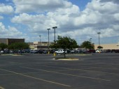 Четыре человека получили ранения во время стрельбы в Техасе Четыре человека получили ранения во время стрельбы в Техасе