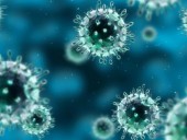 Коронавирус обнаружили у гражданина Бельгии Коронавирус обнаружили у гражданина Бельгии
