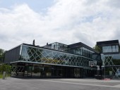FIBA приостановила все баскетбольные турниры из-за пандемии COVID-19 FIBA приостановила все баскетбольные турниры из-за пандемии COVID-19