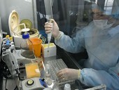 Количество инфицированных коронавирусом в мире достигло 785 тысяч человек Количество инфицированных коронавирусом в мире достигло 785 тысяч человек