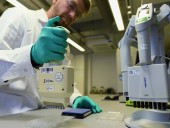 В Германии снижается количество новых заболевших COVID-19