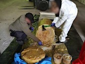 В Польше трех пенсионеров задержали на контрабанде кокаина на более 600 млн евро В Польше трех пенсионеров задержали на контрабанде кокаина на более 600 млн евро