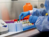 США и некоторые страны ЕС создают систему иммунного паспорта на основе ИФА-тестирования США и некоторые страны ЕС создают систему иммунного паспорта на основе ИФА-тестирования