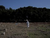 Пандемия: в Бразилии за сутки зафиксировали свыше 45 тысяч случаев COVID-19, более 1,6 млн в целом Пандемия: в Бразилии за сутки зафиксировали свыше 45 тысяч случаев COVID-19, более 1,6 млн в целом