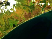 Нефтяное пятно на побережье Камчатки растеклось на сотни метров Нефтяное пятно на побережье Камчатки растеклось на сотни метров