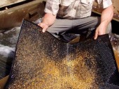 На Земле уже добыли около 80% золота - СМИ