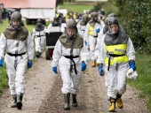Пандемия: в Дании зафиксировали новый штамм коронавируса - из-за этого в стране убьют 17 млн норок Пандемия: в Дании зафиксировали новый штамм коронавируса - из-за этого в стране убьют 17 млн норок