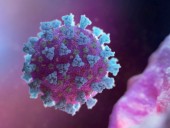 Коронавирус продолжает размножаться в теле человека даже после смерти - исследование Коронавирус продолжает размножаться в теле человека даже после смерти - исследование