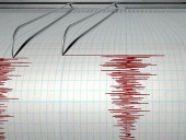В зданиях падала мебель: в Японии произошло мощное землетрясение, объявлена угроза цунами В зданиях падала мебель: в Японии произошло мощное землетрясение, объявлена угроза цунами