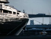 Морская жизнь страдает от шума человечества Морская жизнь страдает от шума человечества