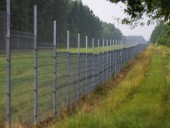 Литва начала строительство забора на границе с Беларусью из-за потока нелегальных мигрантов Литва начала строительство забора на границе с Беларусью из-за потока нелегальных мигрантов