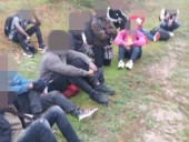 На границе с Литвой пограничники открыли огонь из-за сопротивления белорусских мигрантов На границе с Литвой пограничники открыли огонь из-за сопротивления белорусских мигрантов