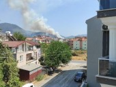 В турецком Даламане вспыхнул новый лесной пожар