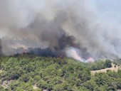 В Турции заявили, что взяли под контроль все пожары В Турции заявили, что взяли под контроль все пожары