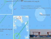 Корабль, который вез 7000 тонн украинской пшеницы, затонул в водах Греции