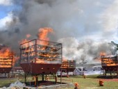 В Индии сожгли почти 2 500 рогов носорога, чтобы привлечь внимание к сохранению вида В Индии сожгли почти 2 500 рогов носорога, чтобы привлечь внимание к сохранению вида