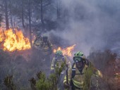 Пожар на юге Испании: огонь приблизился к заповеднику