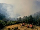 Турецкий Кемер охватили лесные пожары Турецкий Кемер охватили лесные пожары