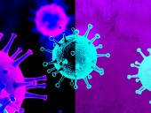 СМИ: вариант коронавируса Omicron уже в Италии СМИ: вариант коронавируса Omicron уже в Италии