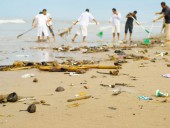 В Дании мусор с пляжа собирают и выбрасывают в море, на это тратят 150 тысяч долларов