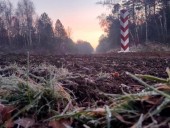 Мигранты снова прорывались через белорусско-польскую границу: Польша говорит, их задержали Мигранты снова прорывались через белорусско-польскую границу: Польша говорит, их задержали