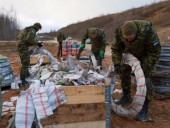 Эстония начала строительство ограждения на границе с РФ