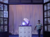 В Шри-Ланке продемонстрировали более 300-килограммовый сапфир