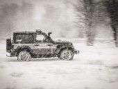 Забросали пограничников бутылками, камнями и бревнами: белорусско-польскую границу пытались пересечь 54 человека Забросали пограничников бутылками, камнями и бревнами: белорусско-польскую границу пытались пересечь 54 человека