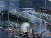 Исландия прекратит китобойный промысел в 2024 году